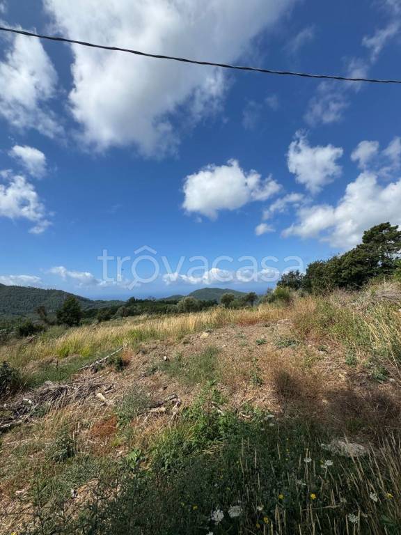 terreno agricolo in vendita a Framura in zona Castagnola