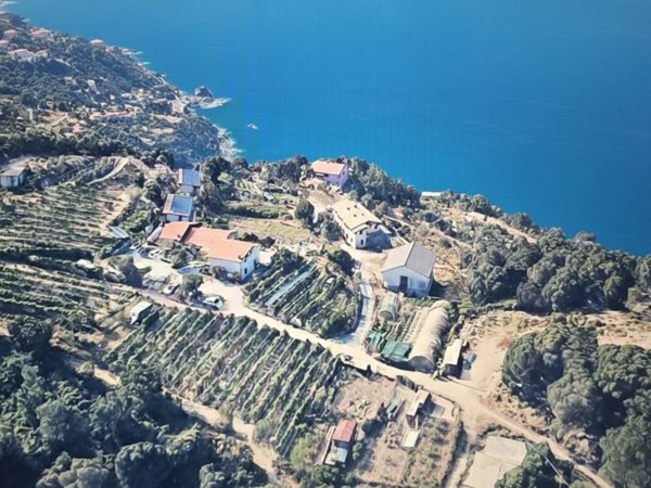 negozio in vendita a Framura in zona Costa