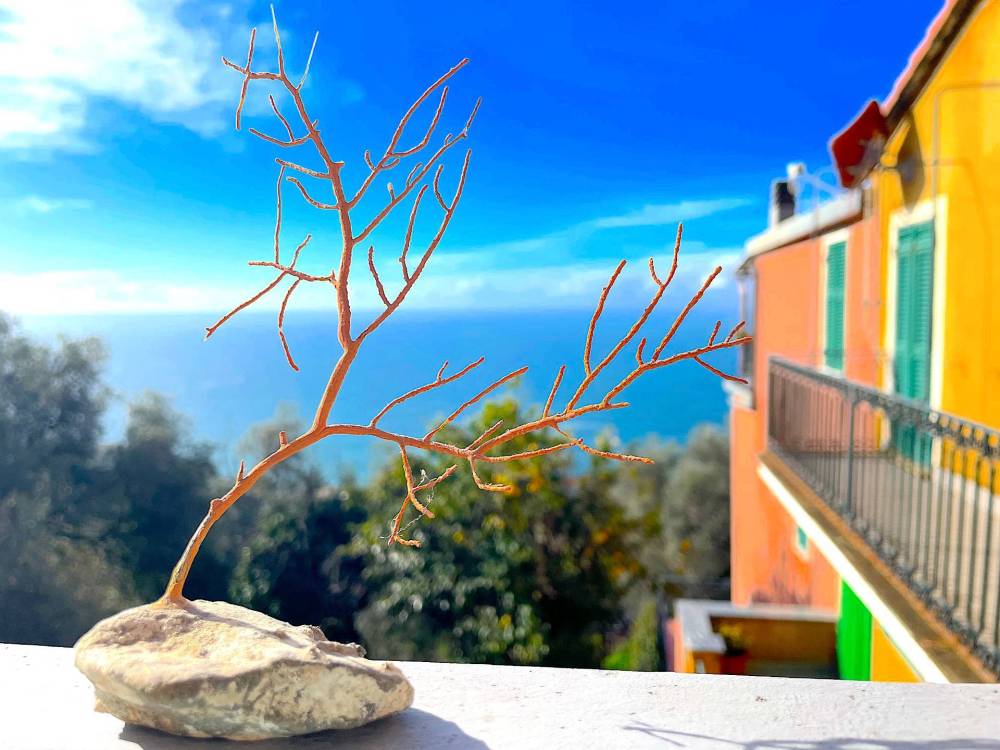 appartamento in vendita a Framura in zona Setta