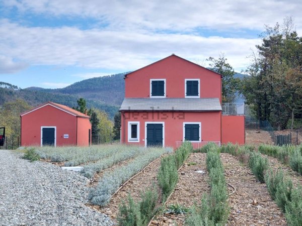 casa indipendente in vendita a Framura