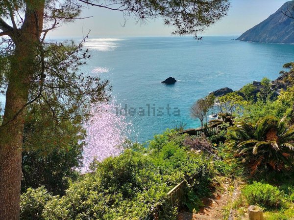 casa indipendente in vendita a Framura in zona Anzo