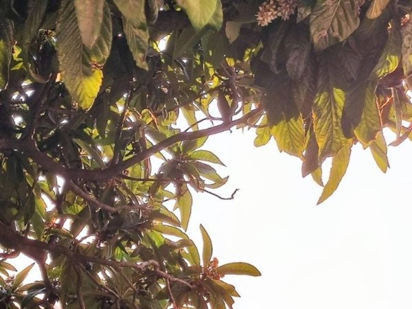 appartamento in vendita a La Spezia in zona Pitelli