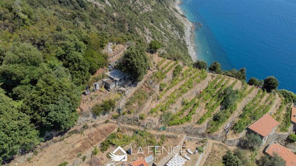 casa indipendente in vendita a La Spezia in zona Schiara