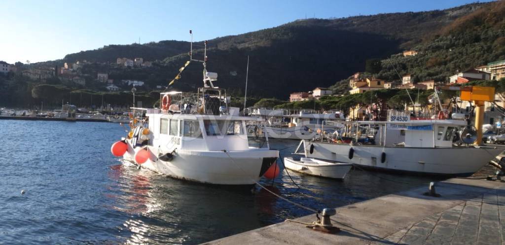 appartamento in vendita a La Spezia in zona Campiglia