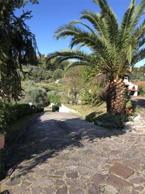 casa indipendente in vendita a La Spezia