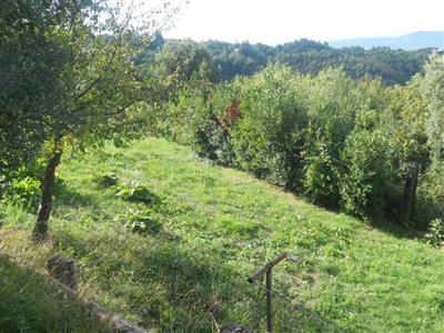 terreno agricolo in vendita a La Spezia