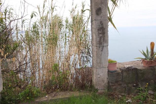 terreno agricolo in vendita a La Spezia in zona Schiara