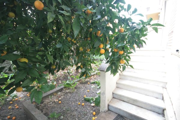 appartamento in vendita a La Spezia