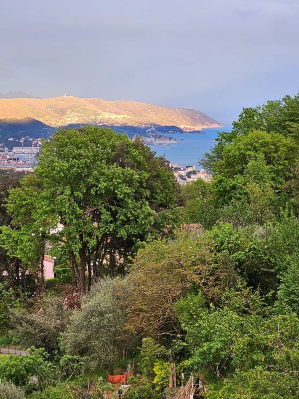 appartamento in vendita a La Spezia in zona La Foce / Sant'Anna