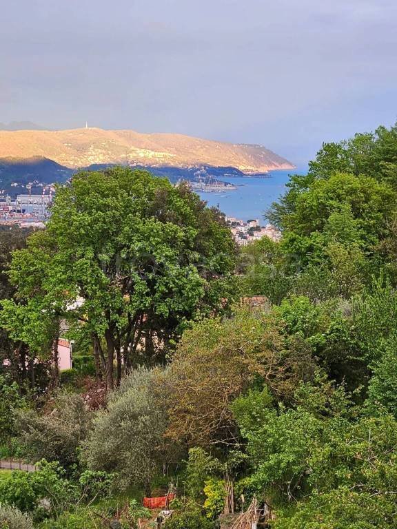 appartamento in vendita a La Spezia in zona La Foce / Sant'Anna