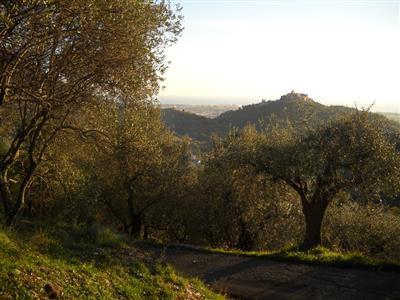 terreno agricolo in vendita a La Spezia
