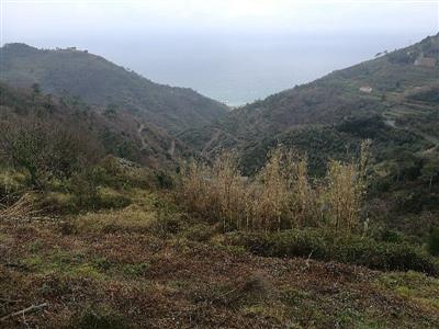 casale in vendita a La Spezia