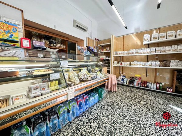 appartamento in vendita a La Spezia in zona Chiappa
