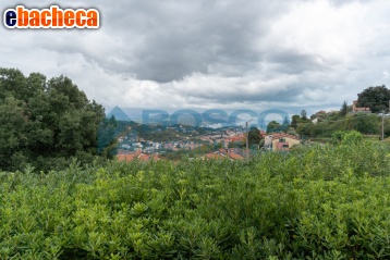 casa indipendente in vendita a La Spezia in zona La Foce / Sant'Anna