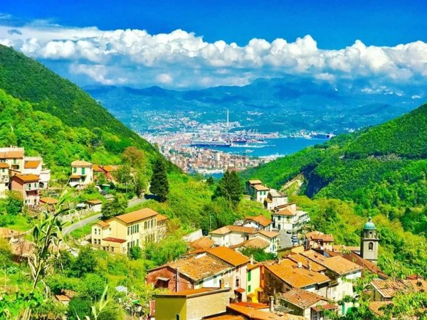 esavano in vendita a La Spezia in zona Biassa