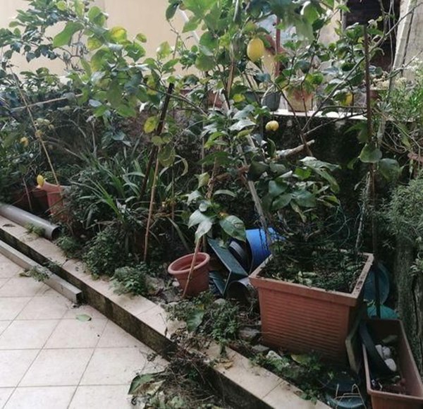 casa indipendente in vendita a La Spezia in zona Pitelli