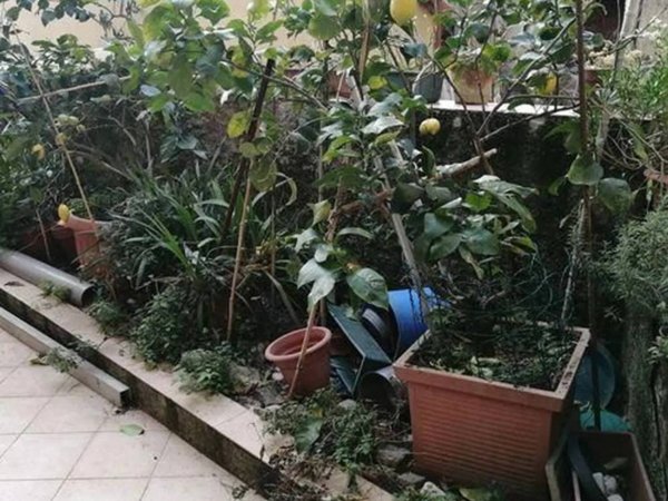 casa indipendente in vendita a La Spezia in zona Pitelli