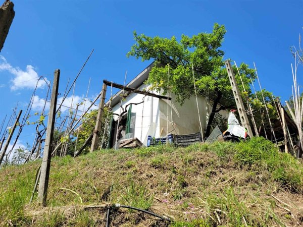 terreno agricolo in vendita a La Spezia in zona Pitelli