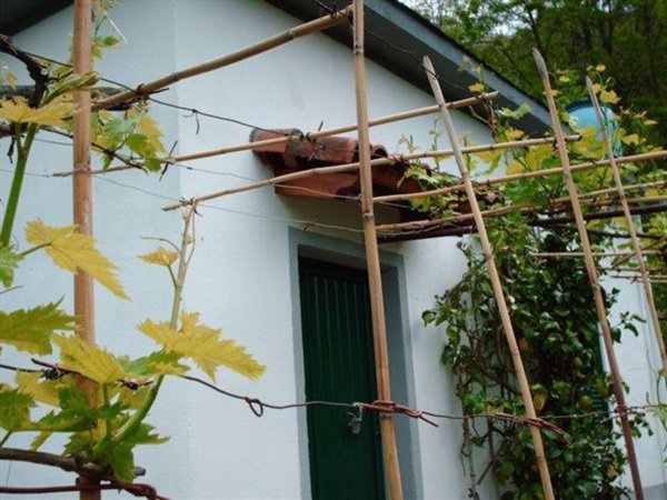 terreno agricolo in vendita a La Spezia in zona Pitelli