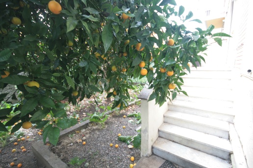 appartamento in vendita a La Spezia in zona La Foce / Sant'Anna