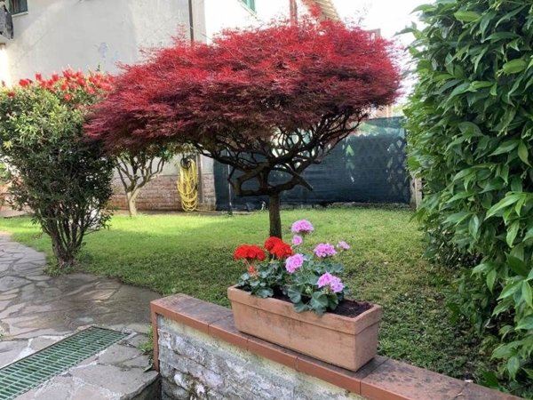 appartamento in vendita a La Spezia in zona Centro Storico