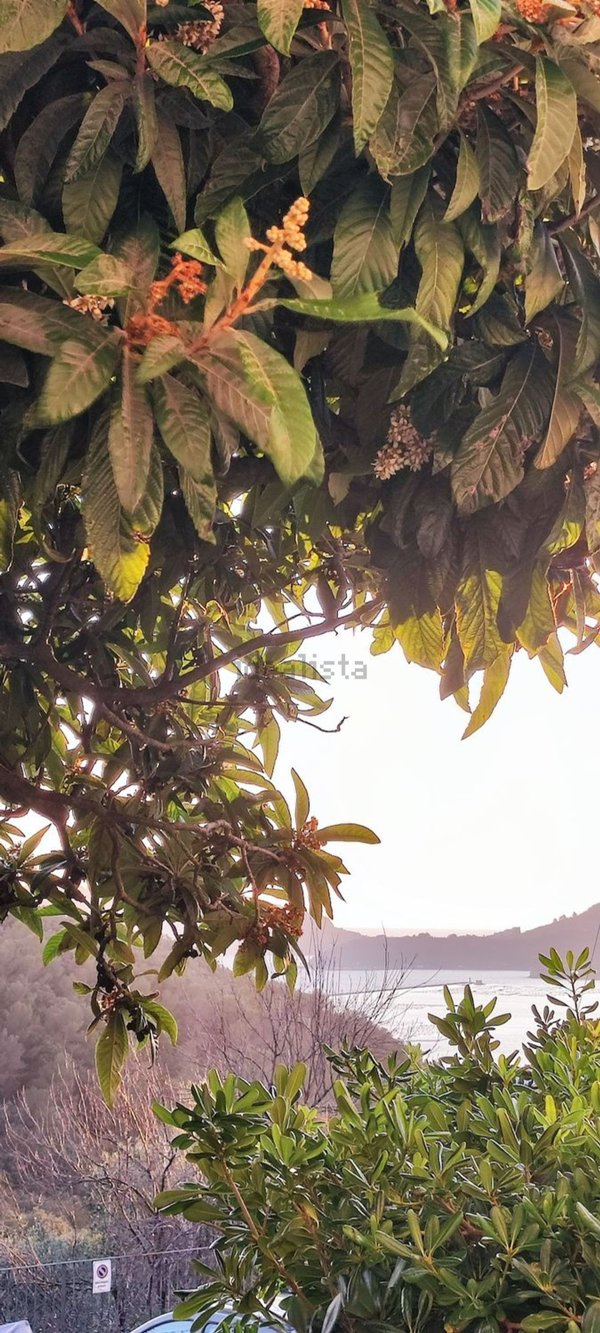 appartamento in vendita a La Spezia in zona Pitelli