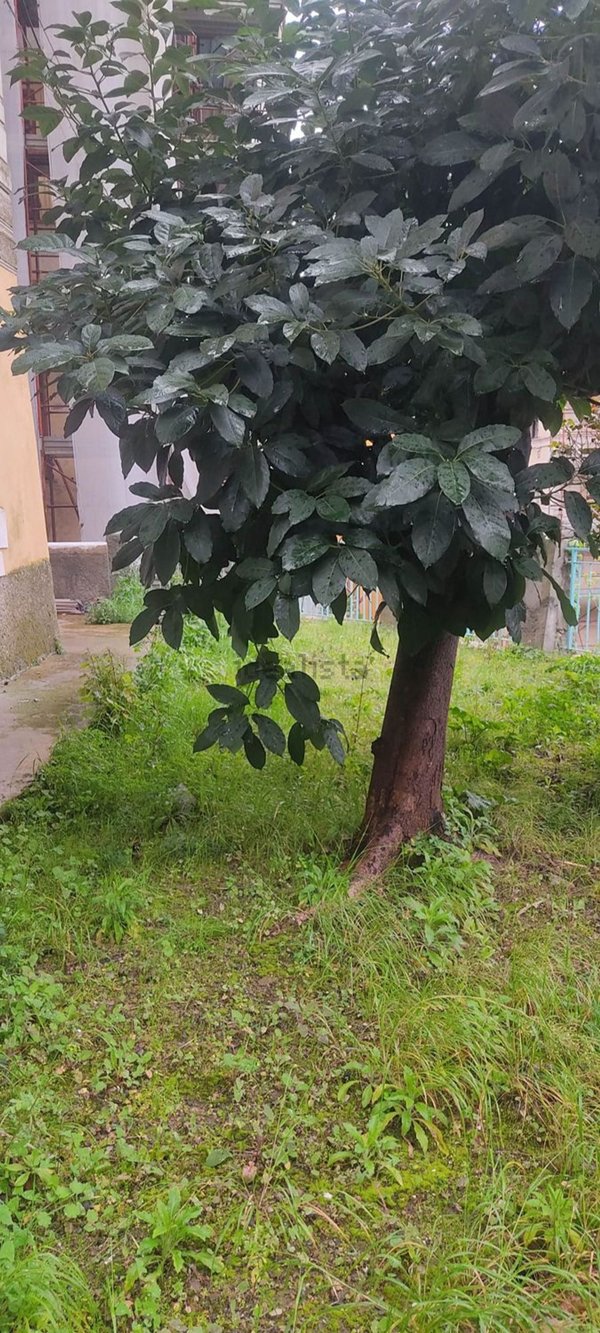 appartamento in vendita a La Spezia in zona Centro Storico