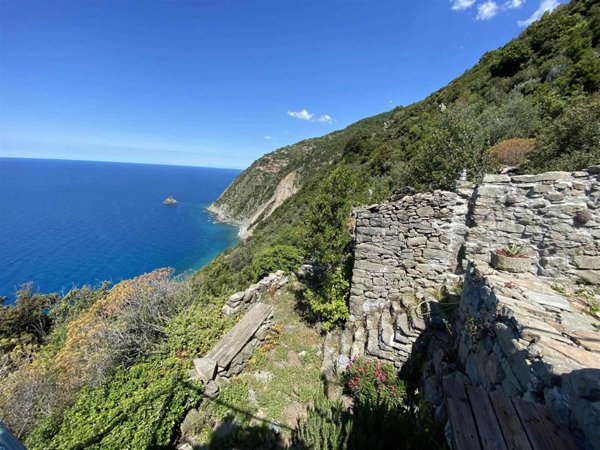 pentavano in vendita a La Spezia in zona Campiglia