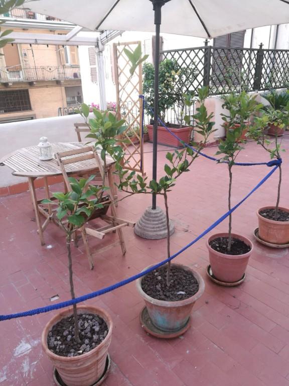 appartamento in vendita a La Spezia