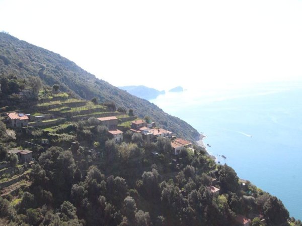 appartamento in vendita a La Spezia in zona Campiglia