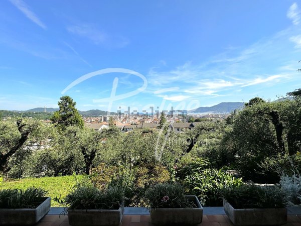 esavano in vendita a La Spezia in zona Montepertico