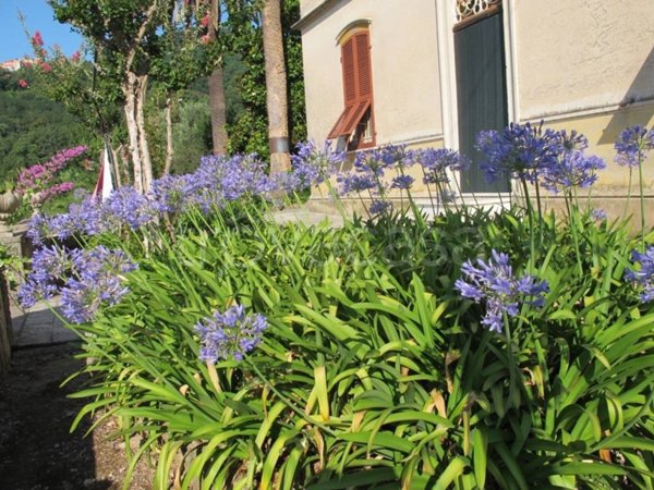 casa indipendente in vendita a Lerici
