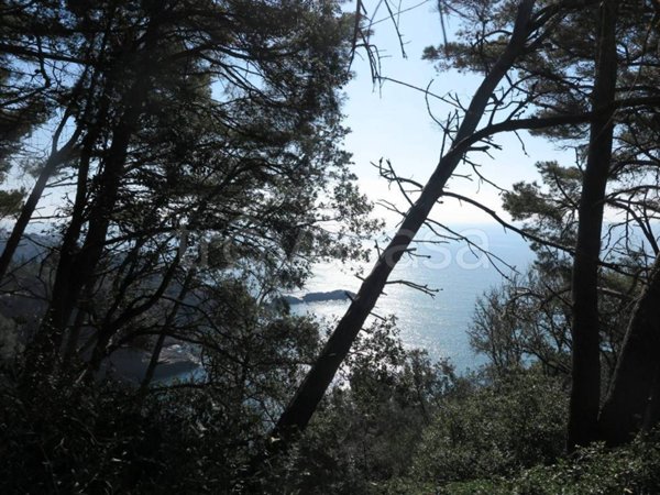 casa indipendente in vendita a Lerici