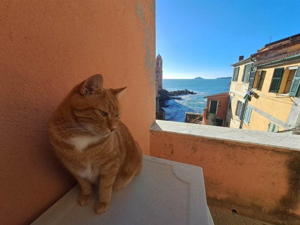appartamento in vendita a Lerici in zona Tellaro