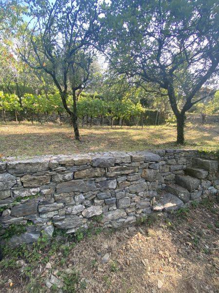 casa indipendente in vendita a Lerici in zona La Serra