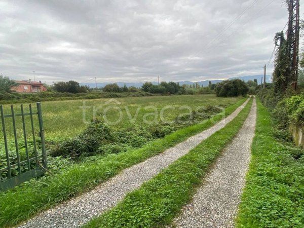 terreno agricolo in vendita a Lerici in zona Senato