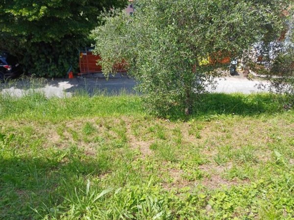 terreno agricolo in vendita a Lerici in zona Pugliola