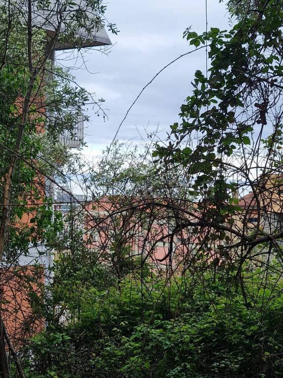 terreno agricolo in vendita a Lerici in zona San Terenzo