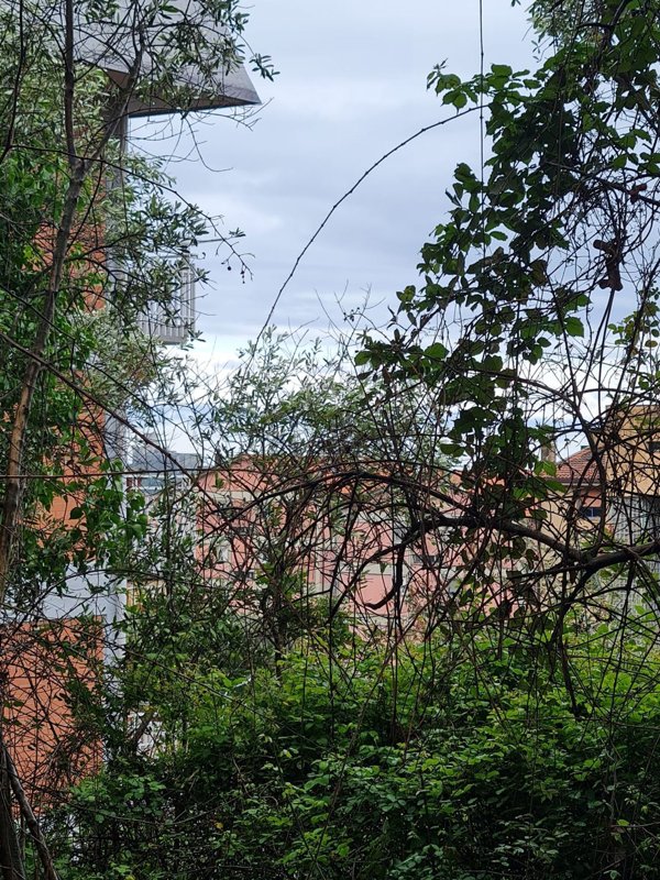 terreno agricolo in vendita a Lerici in zona San Terenzo