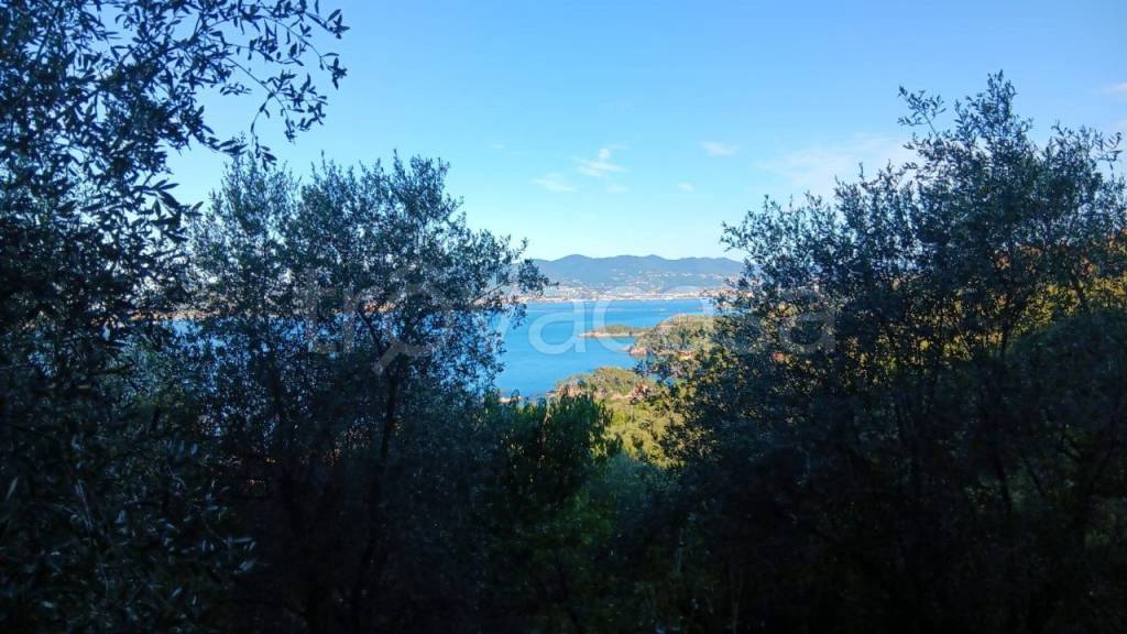 appartamento in vendita a Lerici in zona Tellaro