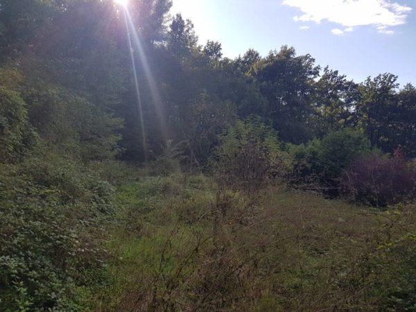 casale in vendita a Lerici