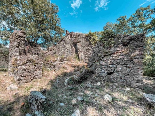 esavano in vendita a Lerici in zona Pugliola
