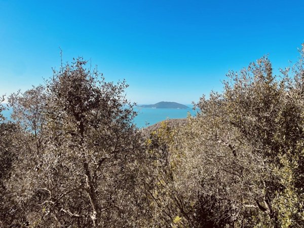 terreno agricolo in vendita a Lerici in zona La Serra