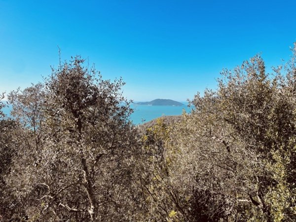 terreno agricolo in vendita a Lerici in zona La Serra