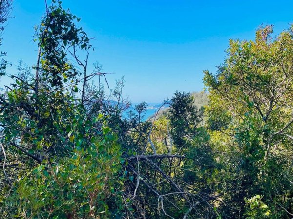 terreno agricolo in vendita a Lerici in zona La Serra