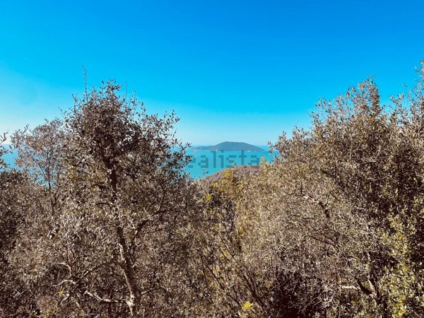 terreno agricolo in vendita a Lerici in zona La Serra