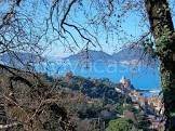 azienda agricola in vendita a Lerici in zona La Serra