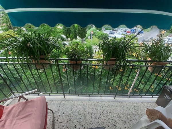 appartamento in vendita a Lerici in zona San Terenzo