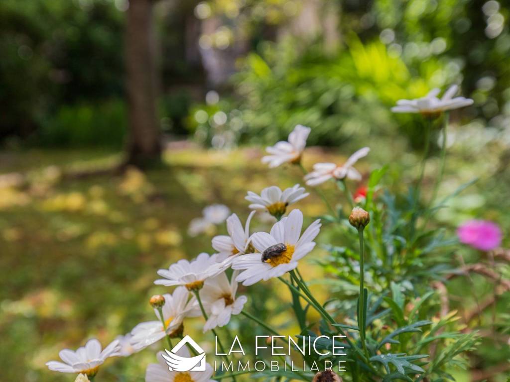 casa indipendente in vendita a Lerici