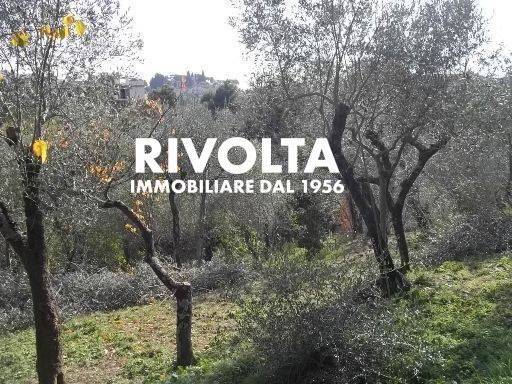 terreno agricolo in vendita a Lerici in zona San Terenzo